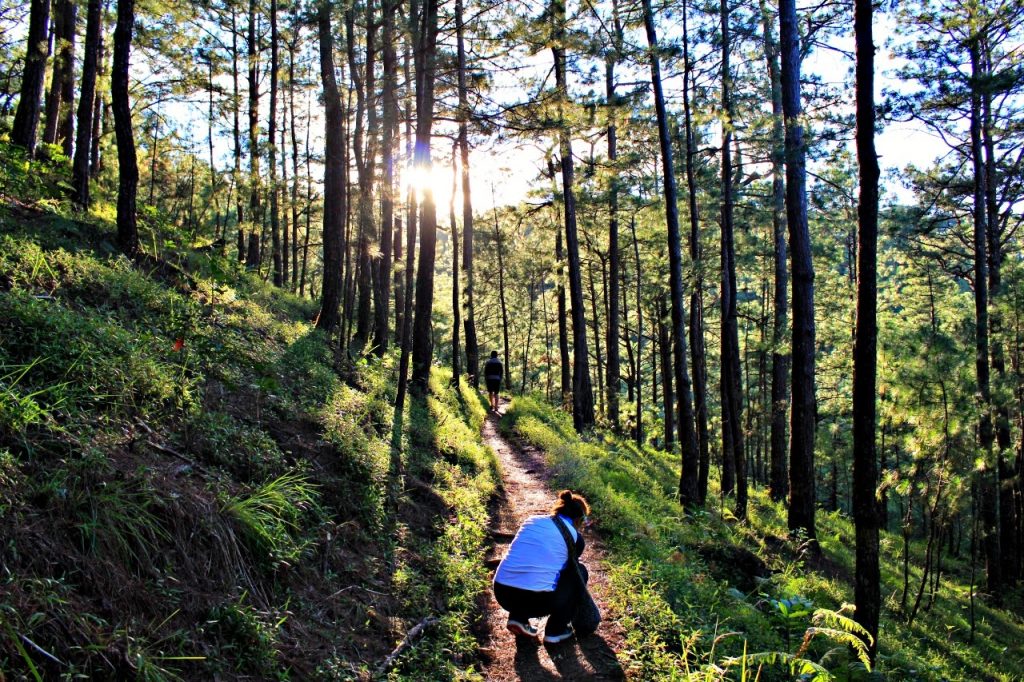 Activities in Camp John Hay - What You Need For An Exciting Adventure!